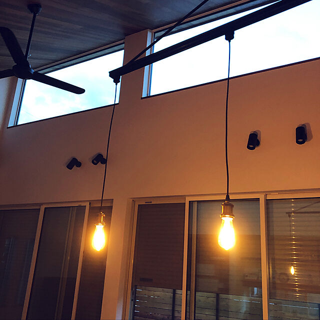 Kieの-選べる2個セット 調光器対応 NOSTALGIA ノスタルジア バルブ エジソンバルブ LED ライト NOSTALGIA LED BULB（WVT）【送料無料】【ポイント10倍】【3/14】の家具・インテリア写真