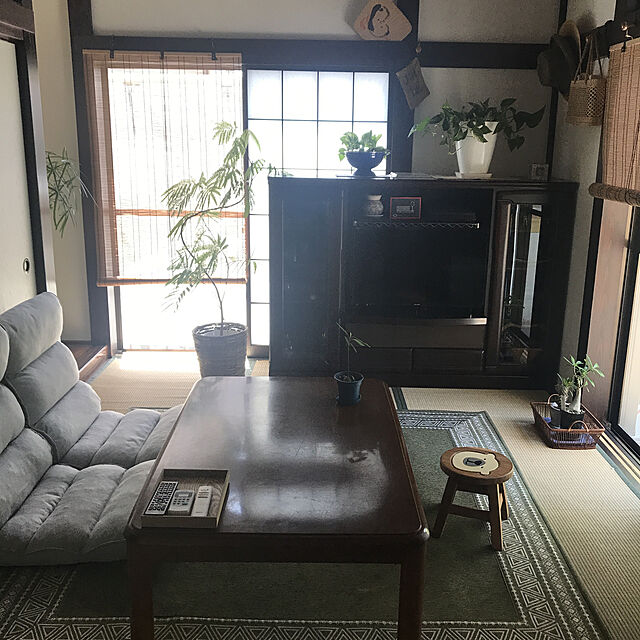 enchiのMAKIMO PLANT-エバーフレッシュ 曲がり -Type2の家具・インテリア写真