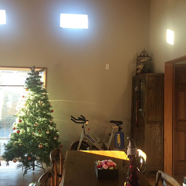 RENKAのOTOGINO-クリスマスツリー 210cm おしゃれ 北欧 松ぼっくり付き 松かさツリー リアル ヌードツリー スリムツリー 飾り なしの家具・インテリア写真