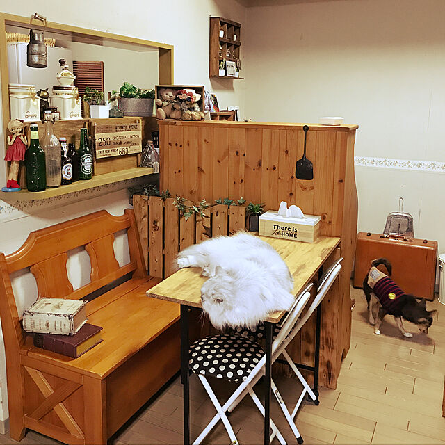 azukiのニトリ-折りたたみチェア(ソレイユDBR) の家具・インテリア写真