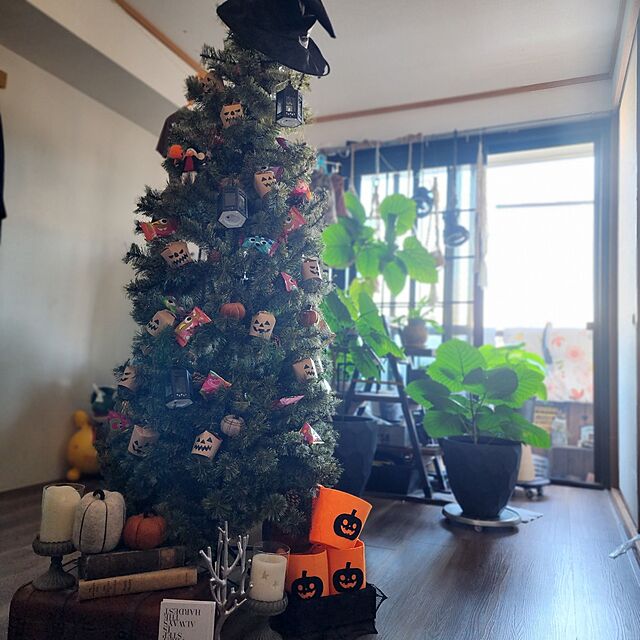 CYNOSの-【SALE／30%OFF】studio CLIP クリスマスツリー 180cm[CHRISTMAS 2023] スタディオクリップ インテリア・生活雑貨 オブジェ・置物・アート グリーン【送料無料】の家具・インテリア写真