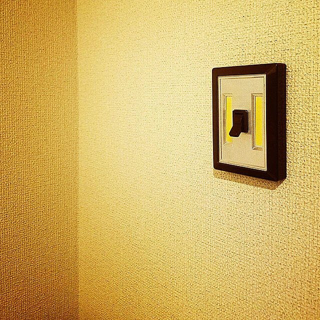 es__baabaの-L.E.D TOGGLE SWITCH LIGHT BROWNの家具・インテリア写真