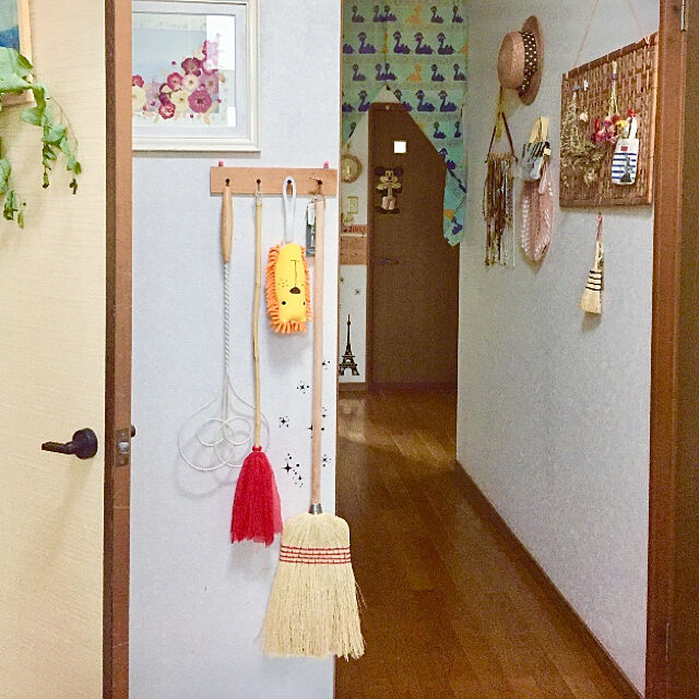 takakoの-丸葉ユーカリ 『 ポポラス 』 シルバーダラーガム 10.5cmポット苗の家具・インテリア写真