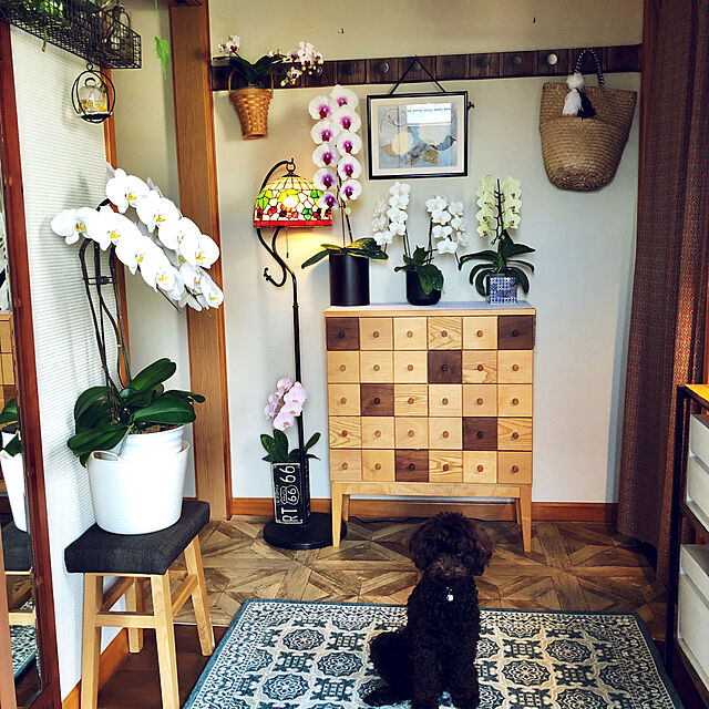 cloverの-玄関マット マット エントランスマット 室内 屋内 グリーン 滑りにくい ゴブラン織り ゴブランシェニール おしゃれ シンプル 北欧 neore / リブラ #2015 70×120cmの家具・インテリア写真