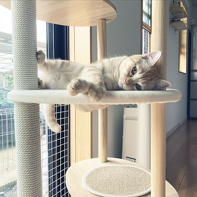 m.k.mの-送料無料 キャットタワー 木製 木目調猫タワー 据え置き おしゃれ 爪とぎポール ネコ 猫用 多頭飼い 上りやすい 安定性抜群 小型猫 大型猫 高さ124.5cmの家具・インテリア写真