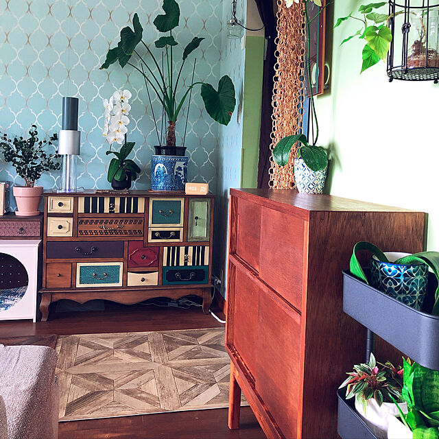 cloverの-VINTAGE BOOK CHESTの家具・インテリア写真
