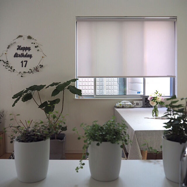 mimiedenの無印良品-【まとめ買い】底面給水鉢の観葉植物・３号の家具・インテリア写真