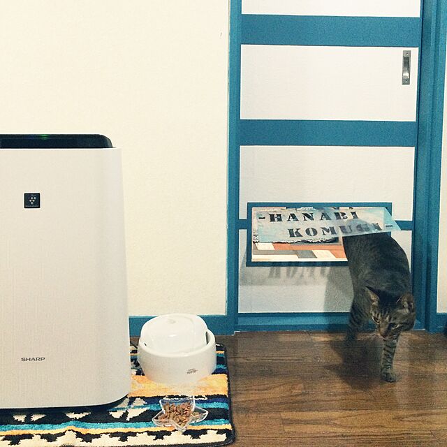 komugiのジェックス-ピュアクリスタル クリアフロー 猫用 ホワイト(1台)の家具・インテリア写真