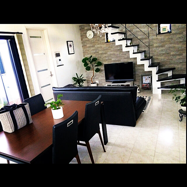 erinanaforのニトリ-QL グリーン(ウンベラータ) の家具・インテリア写真