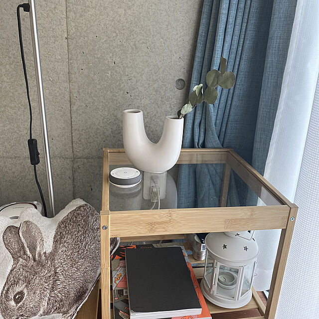 yurieのニトリ-アクセントクッション(ラビット2BR) の家具・インテリア写真