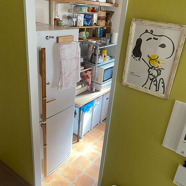 mikomaruの蝶プラ工業-ストッカー キッチン フードケースの家具・インテリア写真