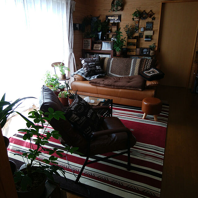 Brown.Lifeの共和開発-東京堂(Tokyodo) 共和開発 インテリアバークM 6Lの家具・インテリア写真