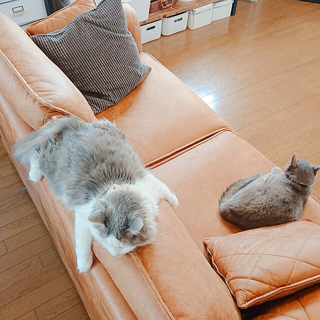 koumeのイケア-GULLKLOCKA グルクロッカ クッションカバーの家具・インテリア写真
