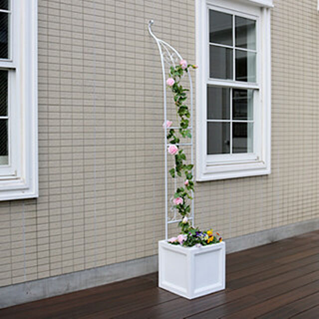 gardening_koboの住まいスタイル-アイアンハーフアーチ（シングル）の家具・インテリア写真