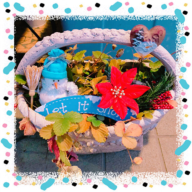 ojyou28のFLORIST SEKIDO-母の日 ギフト 季節のおまかせ寄せ鉢 鉢花 お任せ種類でバスケットに鉢花が綺麗に寄せ植えされているのでそのまま飾るだけ♪ (Mサイズ, 3～5種類をおまかせで寄せ鉢)の家具・インテリア写真