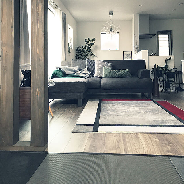ameのニトリ-アクセントラグ(ロゾスクエア 140x200) の家具・インテリア写真