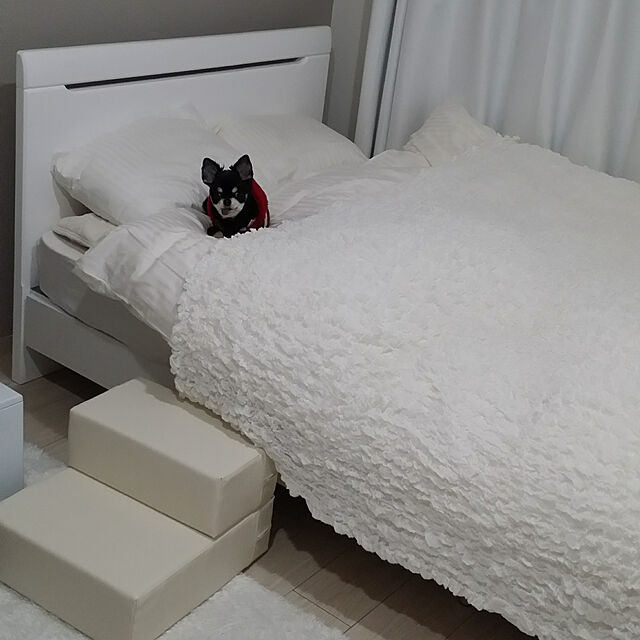 nanasuke0106のニトリ-セミダブルベッドフレーム(ヴァニラ WH) の家具・インテリア写真