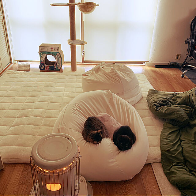 Tomonaの萩原-洗えるカバー式 極厚ラグ メレンゲタッチ ふっくら厚手 ウレタン入りの家具・インテリア写真