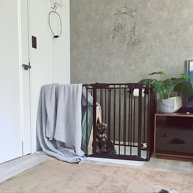 Sakkoの三栄コーポレーション-犬 ケージ ペット サークル おしゃれ 6枚セット Mサイズ 小型犬 中型犬 折り畳み ゲージ 広い 北欧 柵 アイアン フェンス ドア 室内 (A)ノルディの家具・インテリア写真
