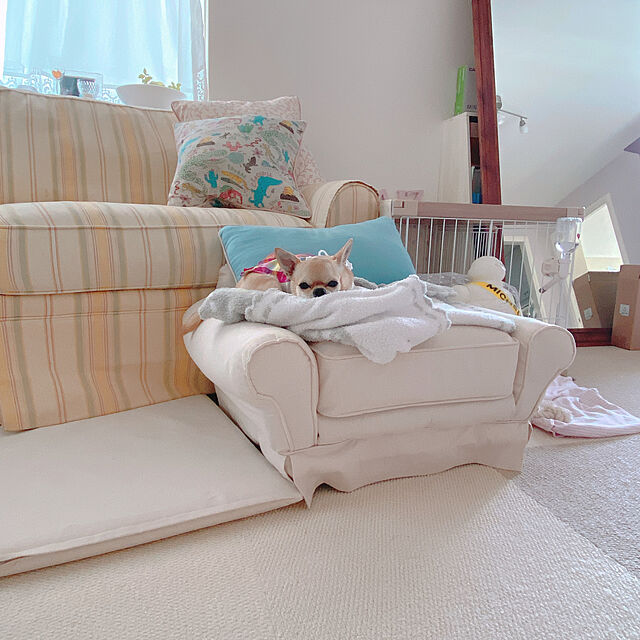 yawatacoのアイリスオーヤマ(IRIS OHYAMA)-アイリスオーヤマ ウッディサークル ホワイト 小型犬用 幅97.5×奥行66.5×高さ55.5cmの家具・インテリア写真