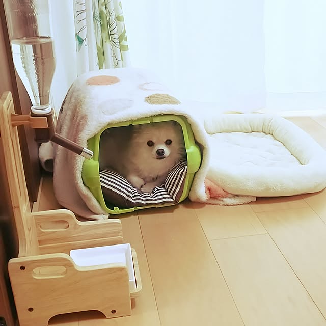 yuki15のドギーマン-ドギーマンハヤシ スタンドエコワンボトラー ■ 犬用 給水器 食器 Woody-styleの家具・インテリア写真