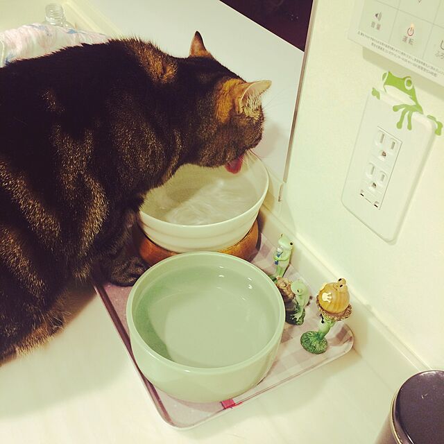 mikomaruの-猫 水皿 ヘルスウォーター ボウル Lサイズ 食器 水飲み オーカッツ aukatz ヘルスウォーターシリーズの家具・インテリア写真