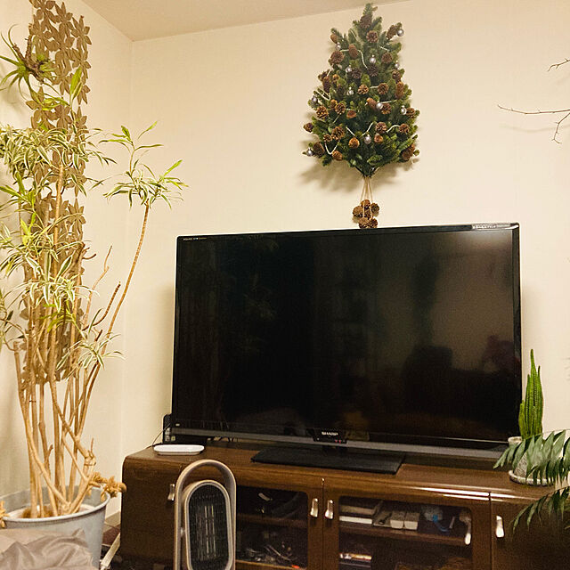 golmiの-クリスマスツリー 壁掛け ハンギングツリー ウォールツリー 樅 北欧  おしゃれ ブランシェ ナチュラル ヌードツリーの家具・インテリア写真