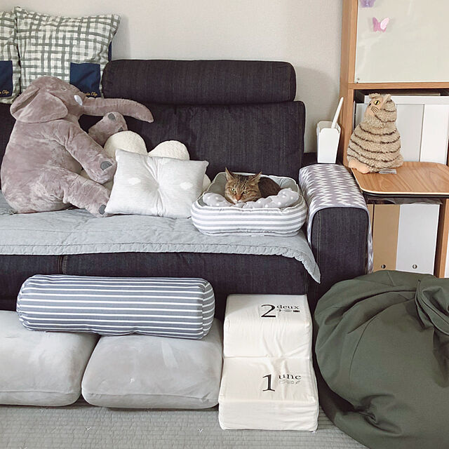 Emiのニトリ-両面仕様ミニまくら(Nクール クモ Q) の家具・インテリア写真