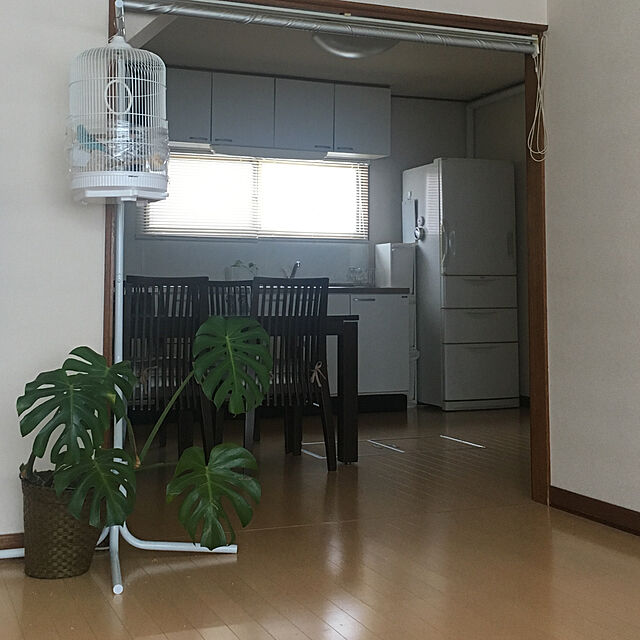 my_homeのニトリ-ステンレスグラススタンド(トレ-ツキ) の家具・インテリア写真