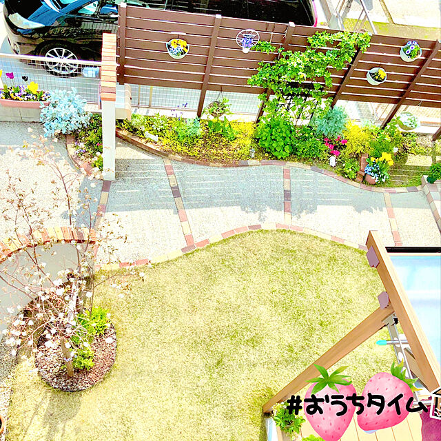 hinamamaの-■ミニバラ■四季咲きガーデンローズほほえみルージュ　極小輪ばら10．5cmポット苗の家具・インテリア写真