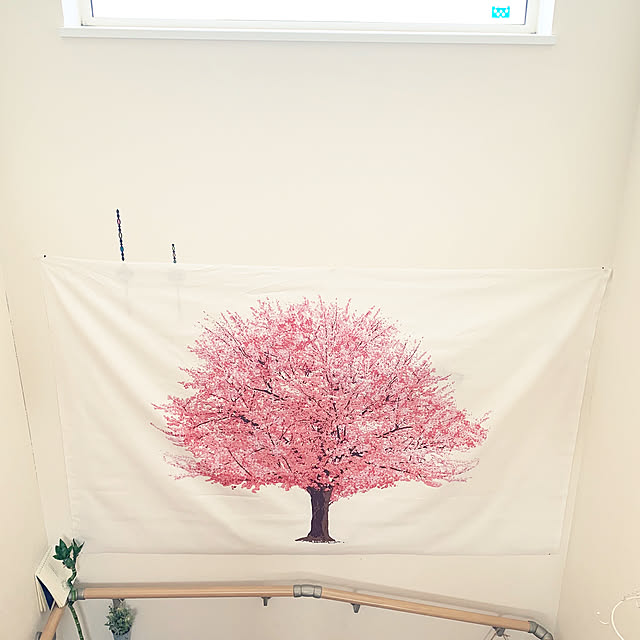 写真付きレビュー 在庫限り エア花見 壁に貼れる桜の木 布 のみ 桜 タペストリー インドア 室内 イエナカ 掛け軸 手ぬぐい のれん インスタ 映え 子供 部屋 インテリア おしゃれ Sale お値打ち 閉店セール 閉店sale 閉店 セールの通販商品 口コミ情報 Roomclip