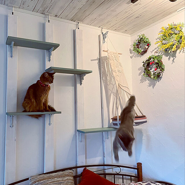 paradise_viewのFocket-猫ハンモックベッド、古典的なレトロなボヘミアン手編み猫ハンモックベッド装飾マクラメ壁吊り猫の巣スイングハンモック、頑丈で耐久性のある、家/ペットショップ/ペットの家具・インテリア写真