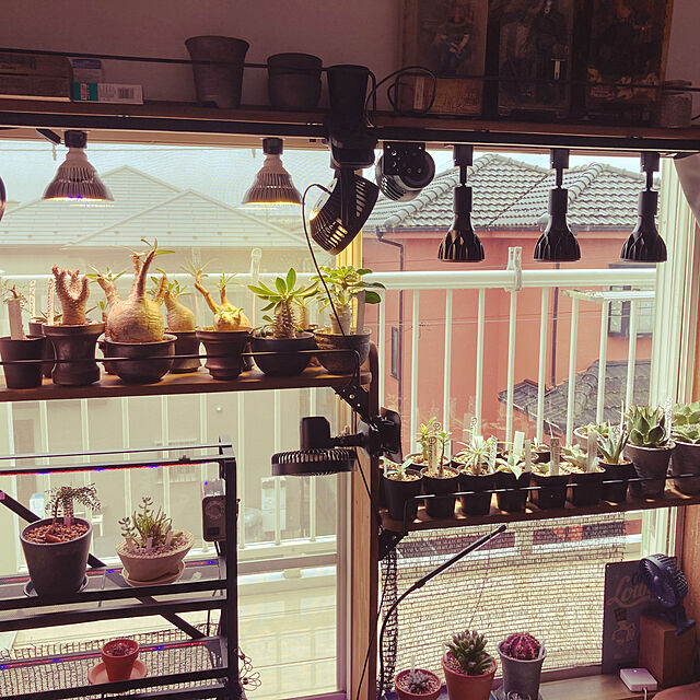TのSINJIAlight-SINJIAlight 植物育成ライトLED 120ｗ相当 暖色系 太陽のような光 フルスペクトル 180個LEDチップ E26口金 水耕栽培用ライト 室内栽培 家庭菜園 (1)の家具・インテリア写真