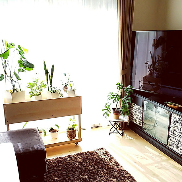 akiwaka-roomのパナソニック-【代引不可】パナソニック 液晶テレビ VIERA TH-65GX855 [65インチ]の家具・インテリア写真