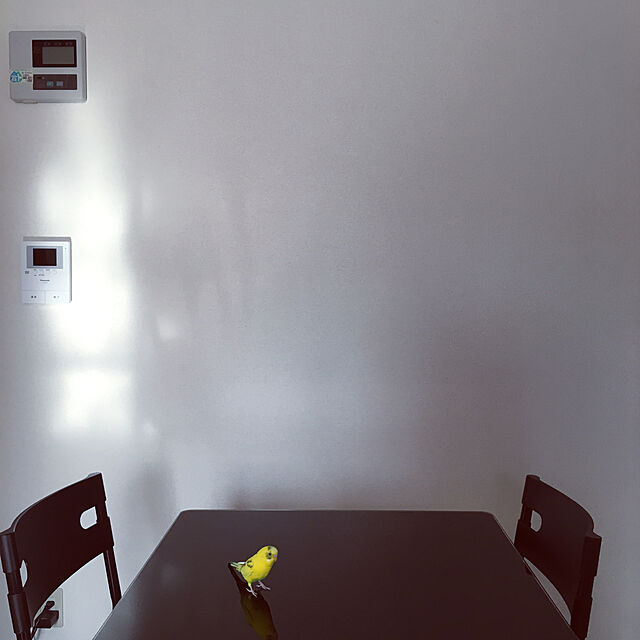 K.A.S.A.のDORIS-DORIS ドリス ダイニングテーブル 5点セット ガラス 幅120 スタッキング 組立式 ホワイト ゼータ【12544】の家具・インテリア写真