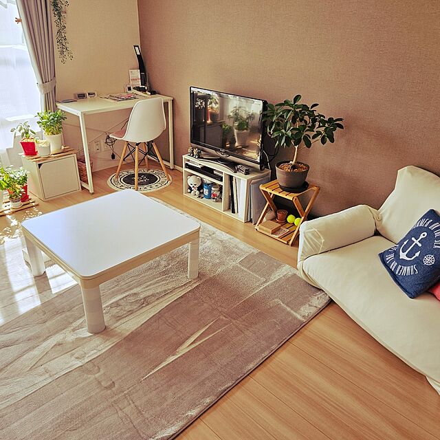 aozoraのニトリ-ウレタン入り 保湿＋吸湿発熱＋蓄熱ラグ(Nウォーム GY n 130X185 RW02) の家具・インテリア写真