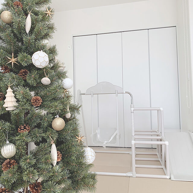 2674gの-クリスマスツリー 北欧 150cm  樅 ドイツトウヒ アルザス おしゃれ 高級 ヌードツリーの家具・インテリア写真
