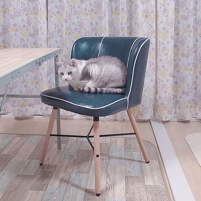 Lisbethの-ダイニングチェアー　モダンおしゃれレザー食卓椅子　スタイリッシュ　背もたれデザインいす　北欧家具風スツール　カラフル　カフェチェア　 アメリカン　格安の家具・インテリア写真