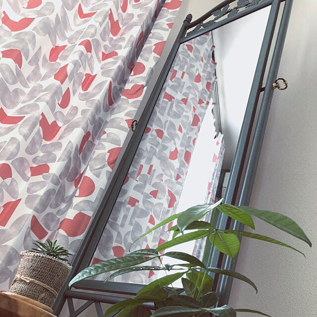 chiwaの-ソテツキリン 即完売 パイナップルコーン 多肉植物 ユーフォルビア インテリアの家具・インテリア写真