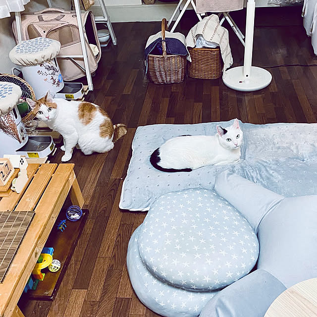 YUKAの-【デコホーム商品】レストクッション(ソフティ GY) の家具・インテリア写真