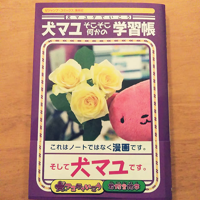 写真付きレビュー 犬マユゲでいこう そこそこ何かの学習帳 Vジャンプブックス 石塚 2 祐子 の通販商品 口コミ情報 Roomclipショッピング