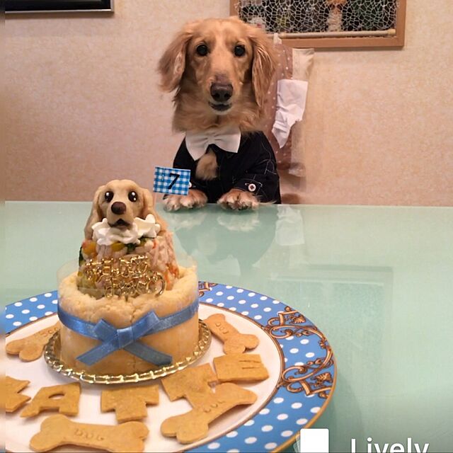 momoの-ワンコケーキ*ヘルシーディナーケーキ*S（犬用ケーキ・犬ケーキ・誕生日）の家具・インテリア写真