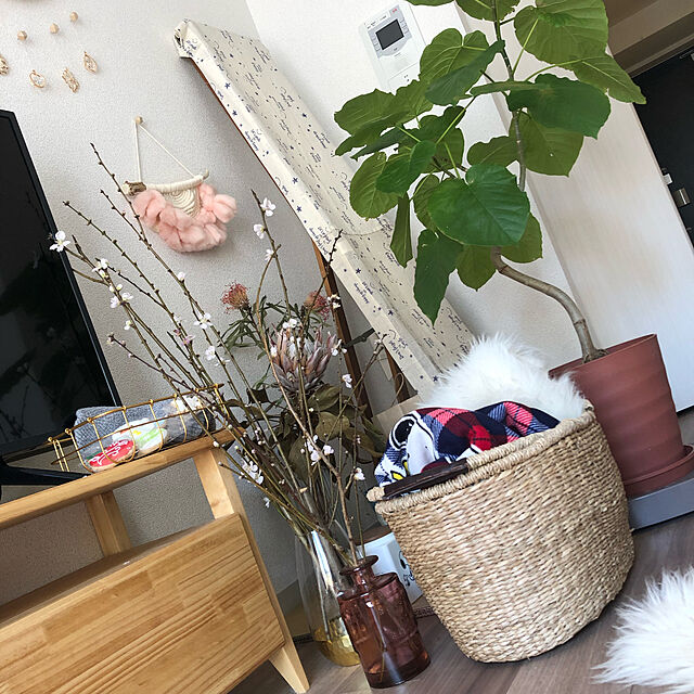 mimoriのtidy-tidy　プランタブル　の家具・インテリア写真