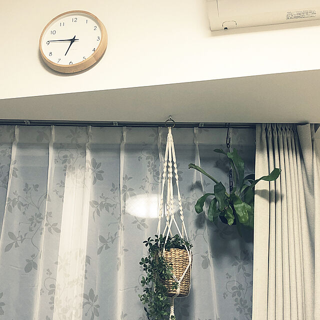 mihohoの-マクラメ プラントハンガー ハンギングプランター 観葉植物 鉢 吊り下げ ロープの家具・インテリア写真