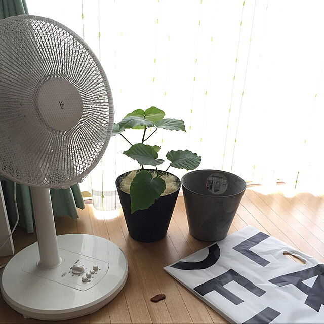nana.7の山善-山善 30cmリビング扇風機(押しボタンスイッチ) タイマー付 ホワイト YLT-AG30(W)の家具・インテリア写真