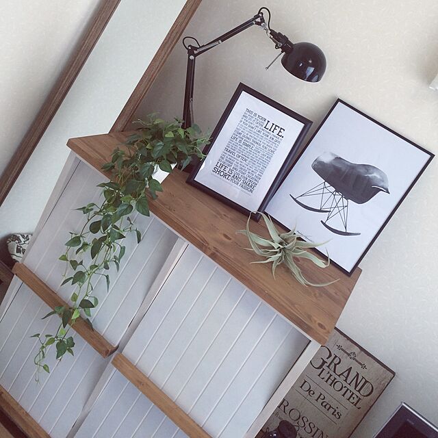 ha-の-光触媒 観葉植物 フェイクグリーン 壁掛け ハンギング フィロの家具・インテリア写真