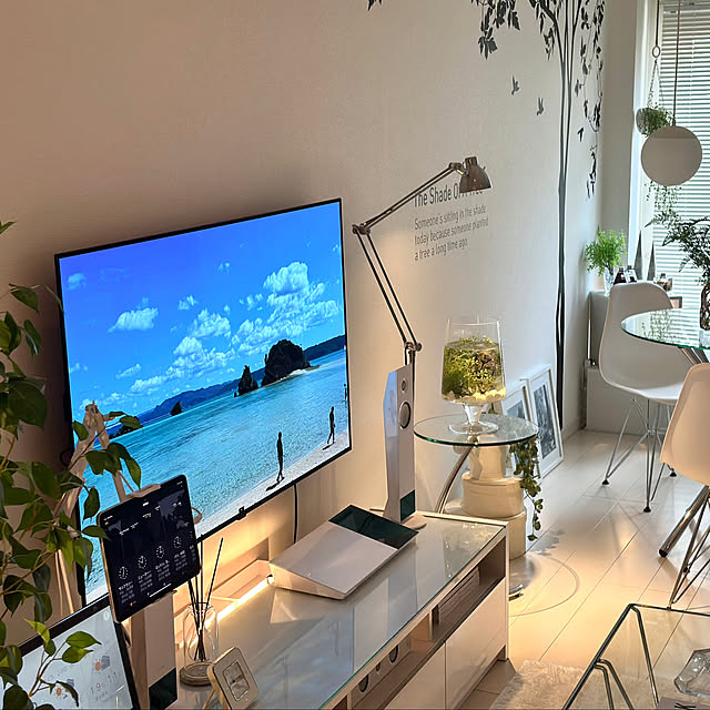 SnSのLG Electronics Japan-LG 有機EL テレビ 55型 4Kチューナー内蔵 OLED55A2PJA スマートテレビ Alexa 搭載 2022 年モデルの家具・インテリア写真