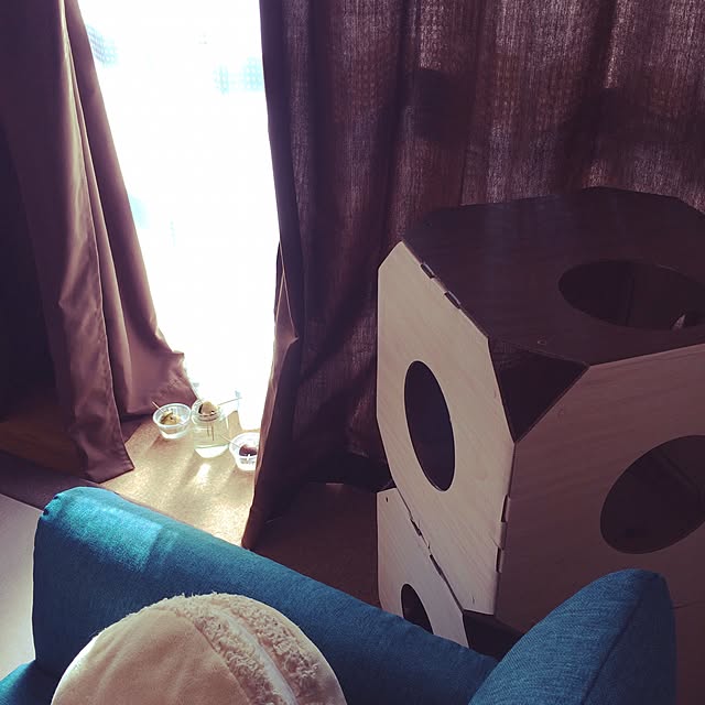 miksukeの-ガリガリシェルフ インテリア 猫用爪とぎ キャットスクラッチャー ハウス【特箱】の家具・インテリア写真