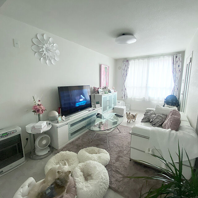 meuの萩原-ラビットファータッチのプレミアムラグ ラパン 180×180 ダスティピンクの家具・インテリア写真