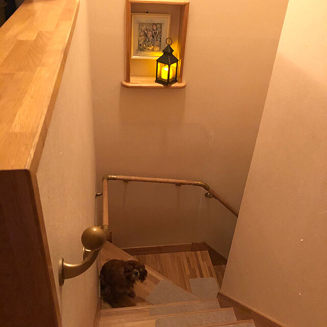 juncocoのロイヤル通販-階段 滑り止めマット 階段用 吸着マット 45cm × 22cm 15枚 K-4522 | 階段用吸着マット 階段マット マット 犬 猫 ペット 貼るだけ 洗える 滑り止め すべり止めの家具・インテリア写真